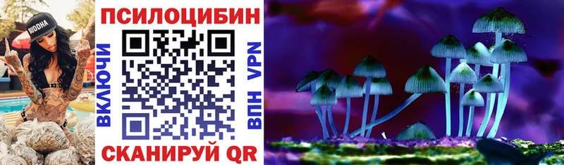 Галлюциногенные грибы GOLDEN TEACHER  это телеграм  Шадринск  купить наркотики сайты 